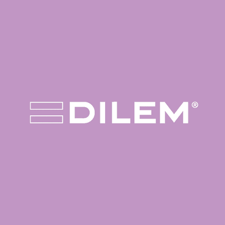 Dilem logo